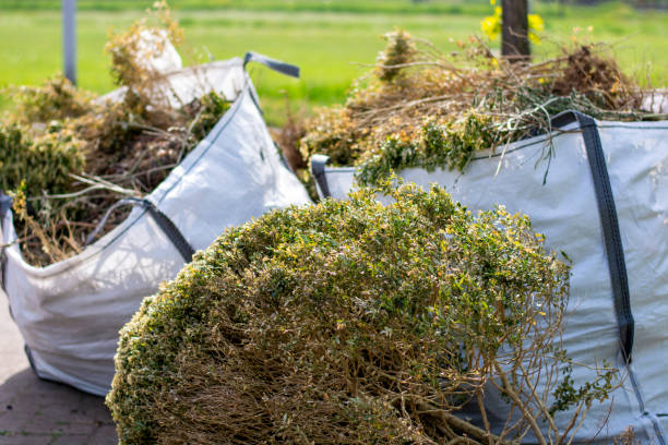 Best Household Junk Removal  in Brownsville, PA